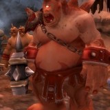28973-high-king-maulgar