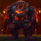 Magmus_new