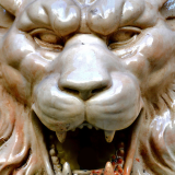 liongoylehead.png