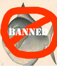 smallfish.png