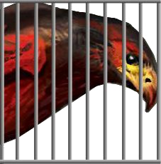 BLOOD-HAWK-CAGED.png